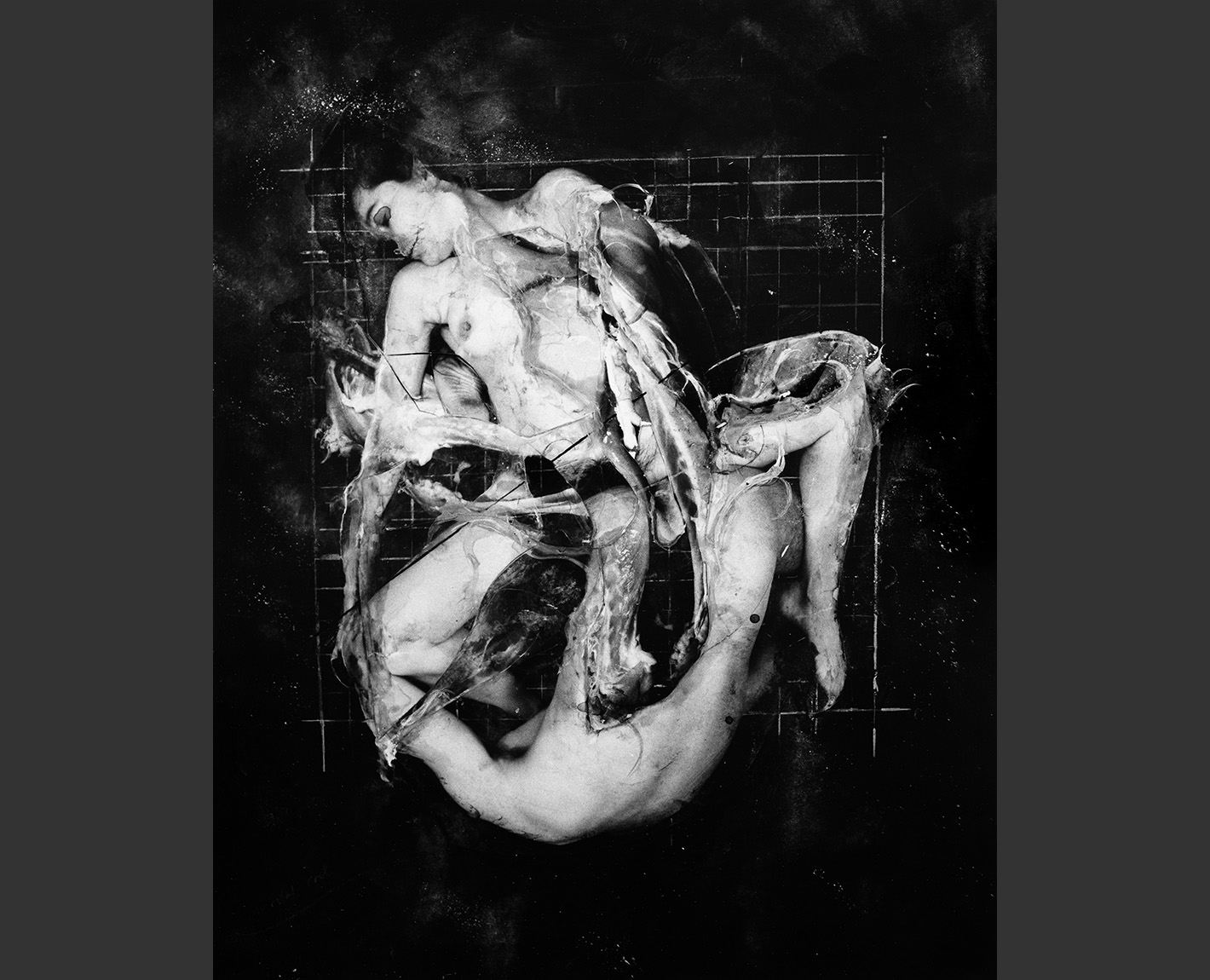Copulation Studies, Paul Lowry