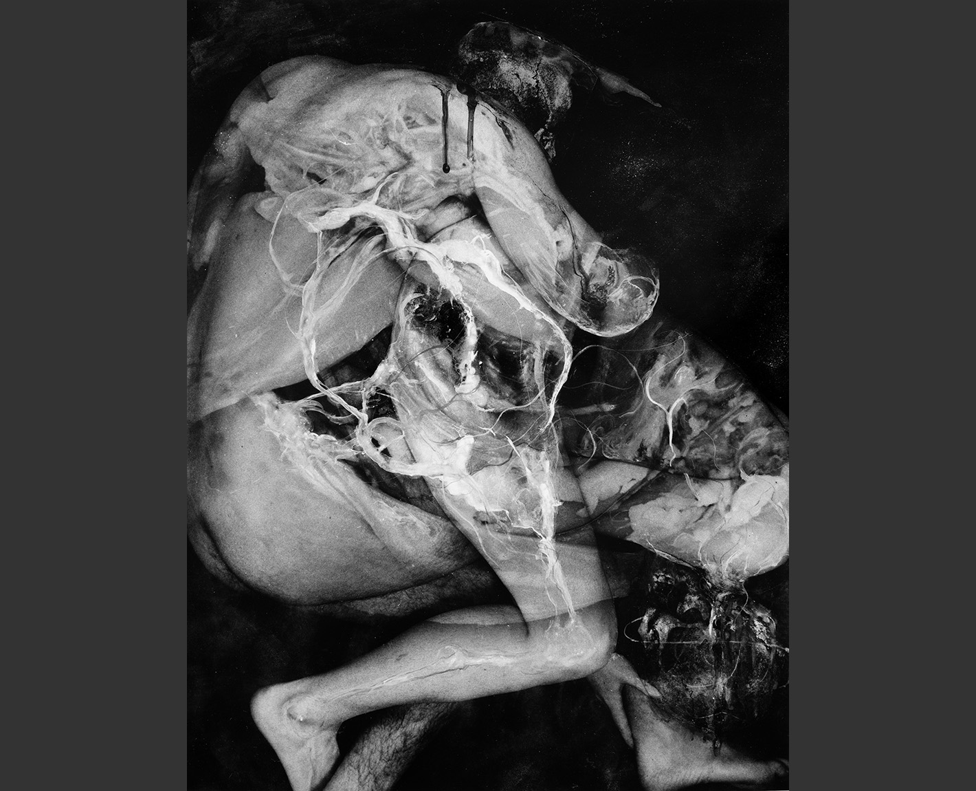Copulation Studies, Paul Lowry